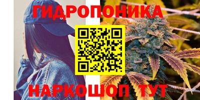 шишки Ликино-Дулёво