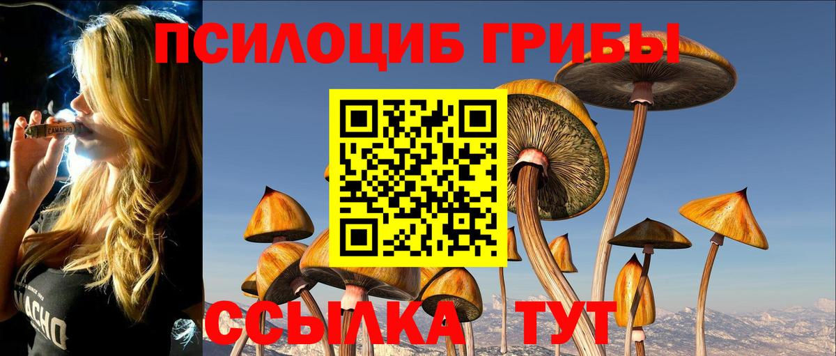 Галлюциногенные грибы GOLDEN TEACHER  Вход с VPN  Ейск  продажа наркотиков  Галлюциногенные грибы Psilocybe 
